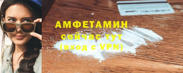 гашик Нея
