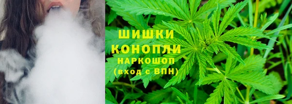 молекула духа Нефтегорск