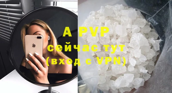 гашик Нея
